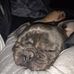 Kathleen Redding - Facebook