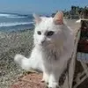 kathleenredding0 - @kathleenredding0 - TikTok
