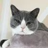 Kathleen Rix - @kathleenrix - TikTok