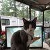 Kathleen Ruff - Facebook