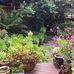 Kathleen Schuler - Facebook