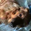 kathleenschuler1967 - @kathleenschuler1967 - TikTok