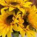 Kathleen Sharp - Facebook