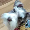 kathleensprings2020 - @kathleensprings - TikTok