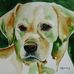 Kathleen Staab - Facebook