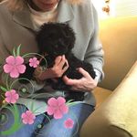 Kathleen Stack - @kathleen.stack.73 - Instagram