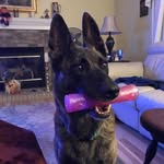 Kathleen Staub Ballard - @kathyb60 - Instagram