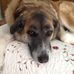 Kathleen Storms - Facebook