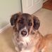 Kathleen Storms - Facebook
