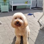 Kathleen Storms - @storms.kathleen - Instagram