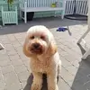 kathleenstorms4 - @kathleenstorms4 - TikTok
