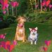 Kathleen Johnston Teeter - Facebook