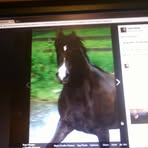 Kathleen Temple - Facebook