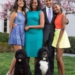 Kathleen Stewart Terrell - @ladyjath - Instagram