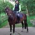 Kathleen Trigg - Facebook