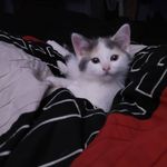 Kathleen Trudeau - @kathleen_trudeau4541 - Instagram
