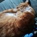 Kathleen Waugh - Facebook