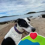 Kathleen Waugh - @waughkathleen - Instagram