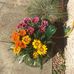 Kathleen Waugh - Facebook