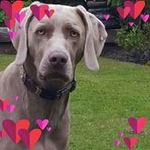 Kathleen Wright - @kathleen.wright.589 - Instagram