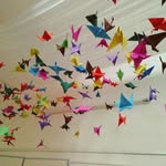Kathrin Funk - @funk_lady - Instagram