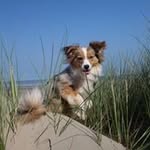Kathrin Funk-Wirtz - @kathrin_fun - Instagram