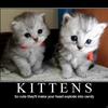 Kathryn Abbott588 - @kittywithstring - TikTok