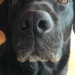 Kathryn Abbott - @kathryn.abbott.397 - Instagram
