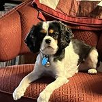 Kathryn Abbott Percifield - @percifieldkathryn - Instagram