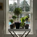 Kathryn Aherne - @kathrynahernelandscapedesign - Instagram