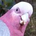 Kathy Appleton - Facebook