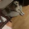 kathrynaugustine7 - @kathrynaugustine7 - TikTok