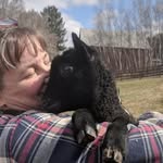Kathy Augustine - @fluffydragon.kva - Instagram
