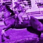 Kathy Dobbins Ballinger - @kathydobbinsballinger - Instagram
