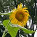 Kate Barger - Facebook