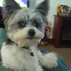 Kathy Basinger - @kathybasinger - TikTok