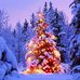 Cathryn Beals Fetner - Facebook