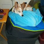 Kathy Beals - @kathy.beals.58 - Instagram