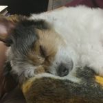Kathy Beals-Arruda - @kathy.b123 - Instagram