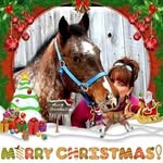 Kathy Bechtold - @kathy.bechtold.5 - Instagram