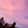 KathrynBecker - @theasqleqes - TikTok