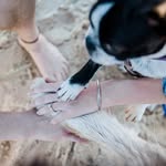 Kathryn Beebe - @animalcommunicationaustralia - Instagram