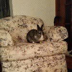 Kathy Beebe - @k.beebe - Instagram