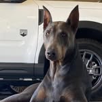 Kathy Beebe - @kanchaser - Instagram