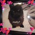 Kathryn Beed - Facebook