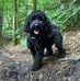 Kathryn Beddis - Facebook