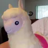 kathrynberman5 - @kathrynberman5 - TikTok