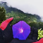 Kathryn Bernstein - @rendiaasisiu - Instagram