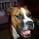 Kathy Bertram Carpenter - @kat64usa - Instagram