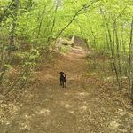Kathryn Betts - @kathryn.betts.9 - Instagram